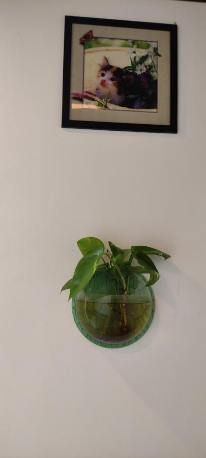 Soly'S Villa Homestay Munnar Exterior foto