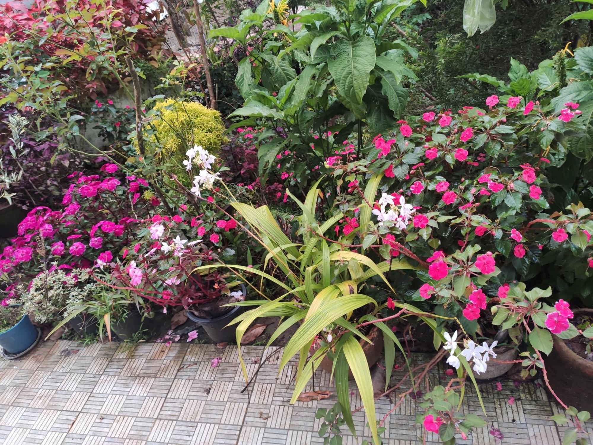 Soly'S Villa Homestay Munnar Exterior foto